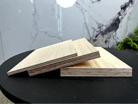 R&D and Design Capabilities