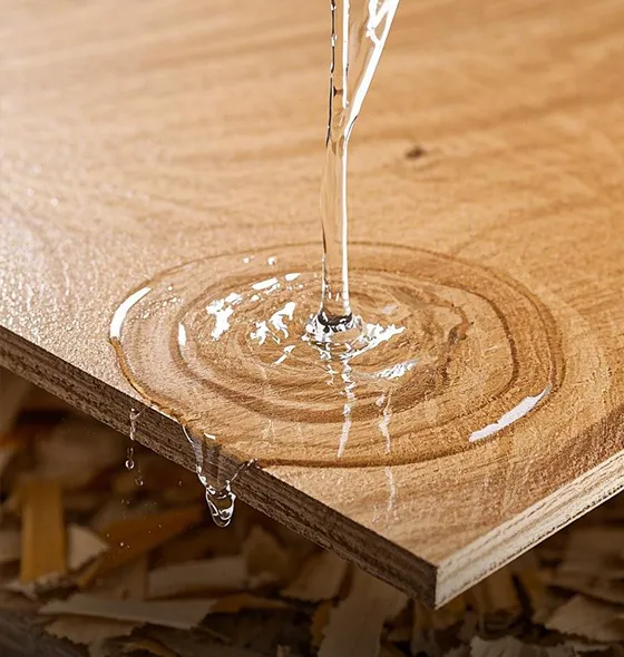 Moisture-Proof